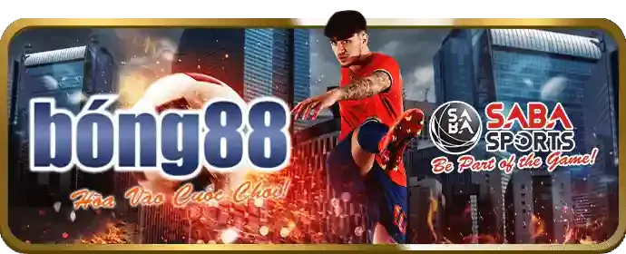 Tỷ lệ hoàn trả cao